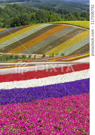 Striped Hill 117506792