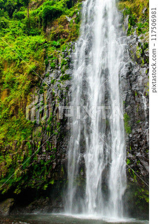 View of Materuni waterfall on the foot of the Kilimanjaro mountain in Tanzania View of Materuni waterfall on the foot of the Kilimanjaro mountain in Tanzania 117506981