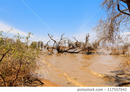 View of Lake Manyara National Park in Tanzania View of Lake Manyara National Park in Tanzania 117507042