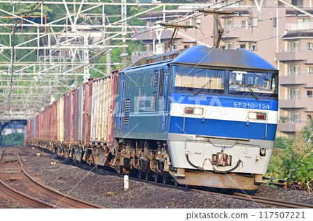 Tokaido Main Line, Manazuru, JR Freight, EF210-124 (Shintsurumi) 117507221