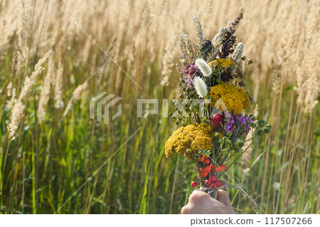 Assumption of Mary day. Wildflower Bouquet in Meadow 117507266