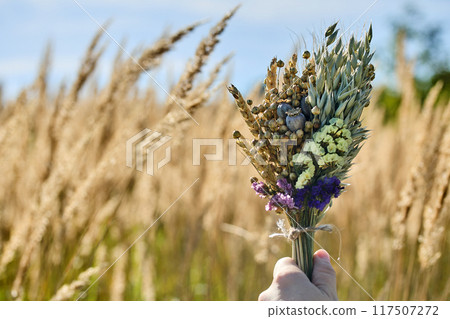 Assumption of Mary day. Rustic Field Bouquet 117507272