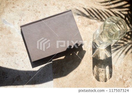 Book and Glass on Sunny Table. A brown book and a glass of water on a sunlit table with palm shadows. Book and Glass on Sunny Table. A brown book and a glass of water on a sunlit table with palm shadows. 117507324