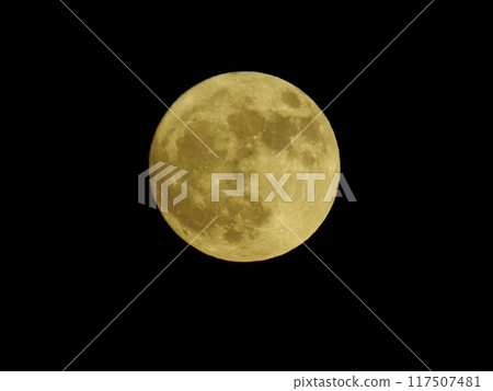 Golden full moon 117507481