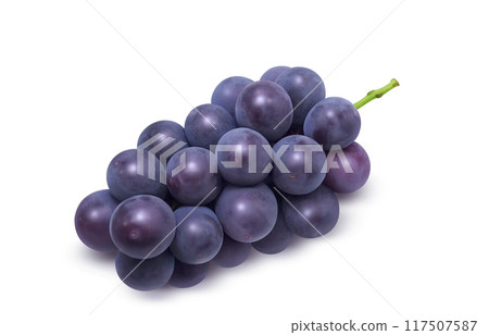 巨峰插畫真實葡萄 117507587