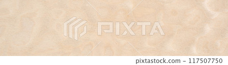 Soft sandy hues dance on the creamy veneer wooden surface in a delicate pattern Soft sandy hues dance on the creamy veneer wooden surface in a delicate pattern 117507750