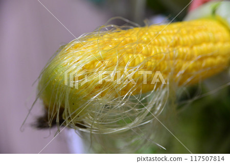 Corn ☆mar_lapin Corn ☆mar_lapin 117507814