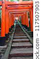 美麗的無人鳥居 117507903