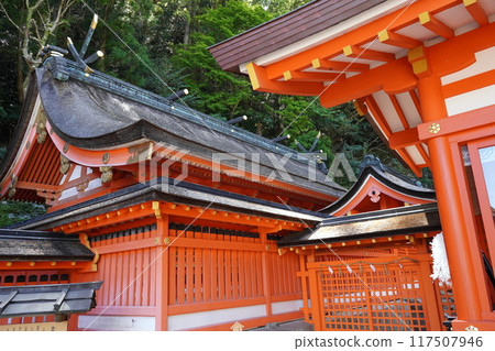 Wakayama Kumano Nachi Taisha 117507946