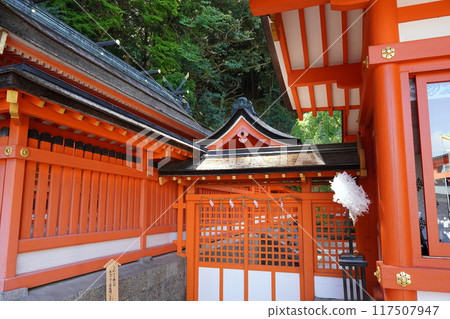 Wakayama Kumano Nachi Taisha 117507947
