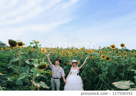 Couple dancing in a sunflower field 117508591