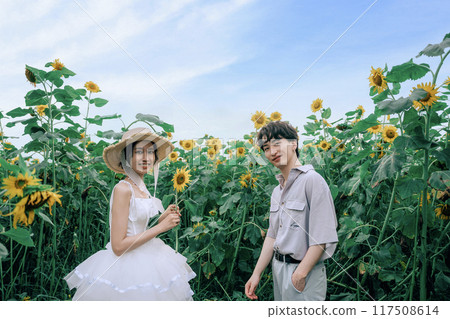 Couple dancing in a sunflower field 117508614