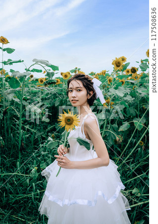 新娘在向日葵田裡拍照 117508636