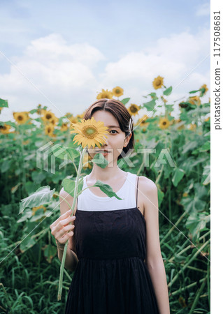 女模特兒在向日葵田裡拍照 117508681