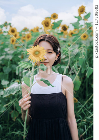 女模特兒在向日葵田裡拍照 女模特兒在向日葵田裡拍照 117508682