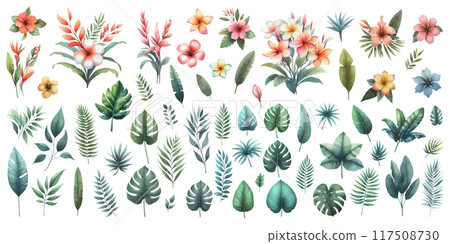 Big set of tropical leaves and flowers. Big set of tropical leaves and flowers. 117508730