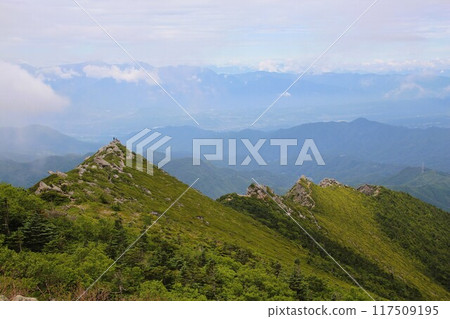 金山 117509195