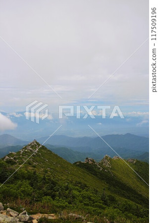 金山 117509196