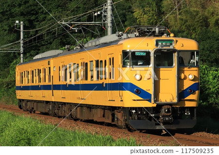 舞鶴線113系列福知山彩色 117509235