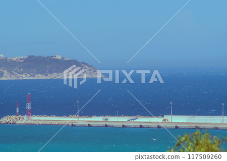 Green palm leaves against the background of turquoise or blue ocean, sea, in the middle ground the shoreline intended to dampen the waves entering the pier, shore in background 117509260