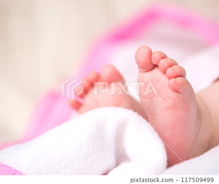 baby feet baby feet 117509499