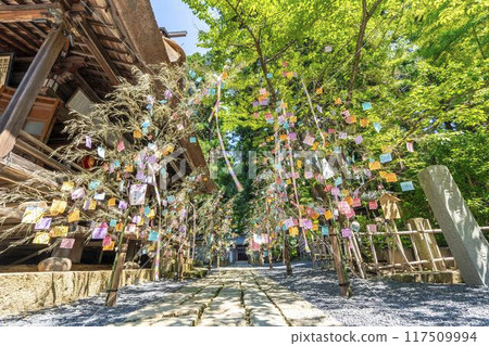 Early summer at Kumano Shrine (Kumano Taisha), Tanabata decorations, Nanyo City, Yamagata Prefecture Early summer at Kumano Shrine (Kumano Taisha), Tanabata decorations, Nanyo City, Yamagata Prefecture 117509994