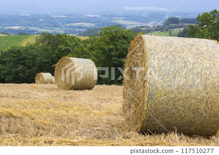 From the top of Summer Hill 117510277