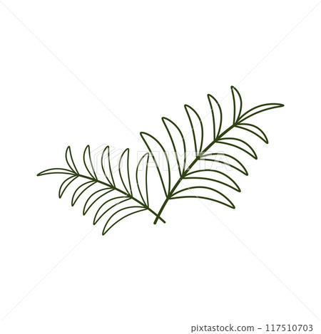 Leaf Palm oil illustration design 117510703