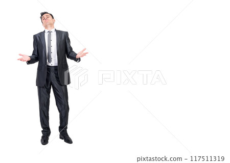Arrogant boss in formal suit. White background. Arrogant boss in formal suit. White background. 117511319