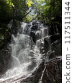 壯麗的瀑布 117511344
