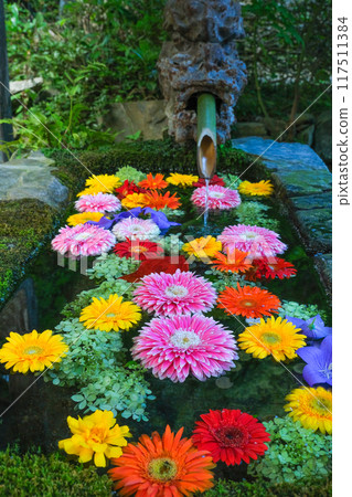 花手水從側面八月 117511384