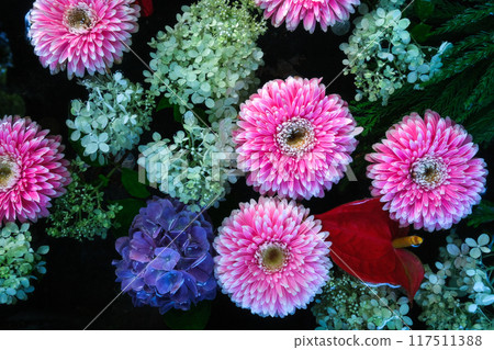 Flower water fountain up July 117511388