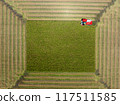 Aerial view of a combine harvester harvesting rice in a rice field 117511585