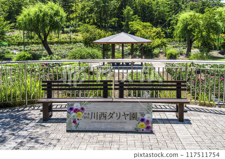 山形縣川西町夏季公園長椅和大麗花招牌 117511754