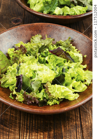 greens salad on plate 117512004