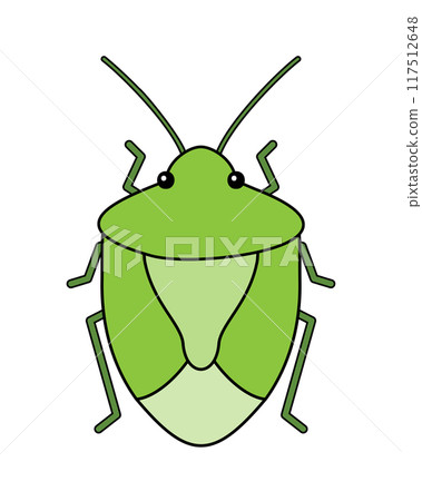 A simple illustration of a green stink bug 117512648