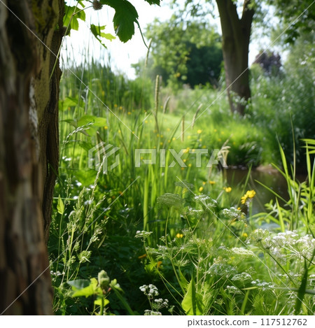 Dappled sunlight lush green forest glade wildflowers tall grasses natural 117512762
