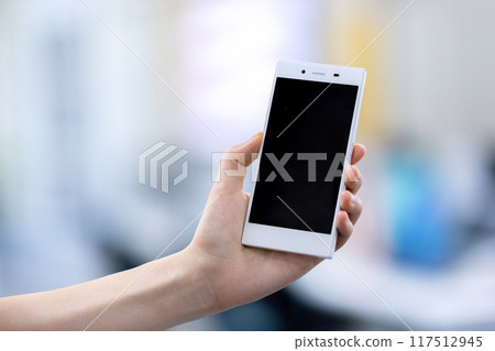 Female business in her 20s in the office Female business in her 20s in the office 117512945