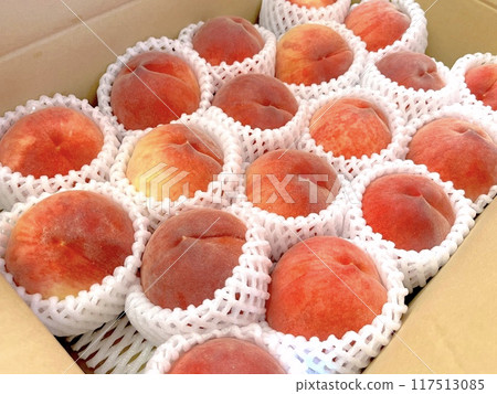 很多桃子 117513085