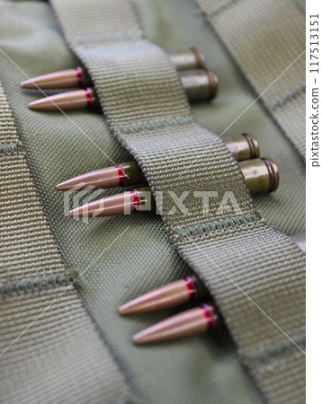Pairs Of Ammunition Under Threaded Belts Of Unloading Vest Closeup Angle View 117513151