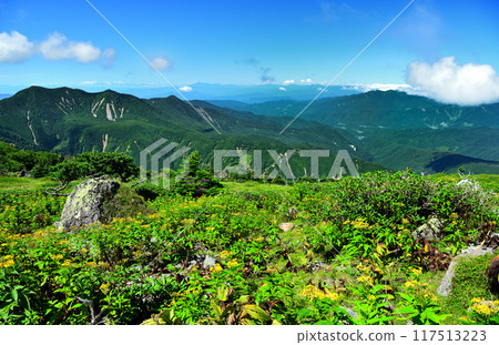 The view from Mount Nikko Shirane on the border between Tochigi and Gunma prefectures 117513223