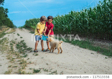 Happy Kids Playing Frisbee With Golden Retriever Puppy On Green Nature Background. Smiling Brothers. 117513338