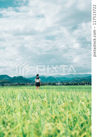 夏天，穿著水手服、綁著辮子的女孩沿著稻田小路行走 117513722