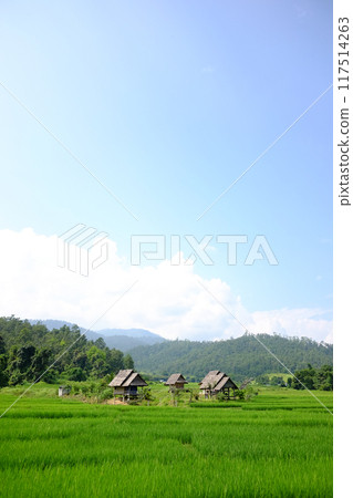 Local hut and homestay village on terraced Paddy rice fields on mountain in the countryside of Thailand. Travel in greenery tropical rainy season concept Local hut and homestay village on terraced Paddy rice fields on mountain in the countryside of Thailand. Travel in greenery tropical rainy season concept 117514263