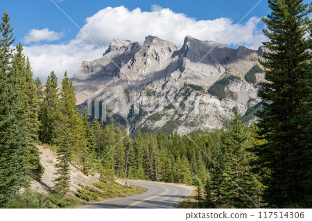 Mountain road in the forest in summer time. Lake Minnewanka scenic drive Loop. Banff National Park, Canadian Rockies, Alberta, Canada. 117514306