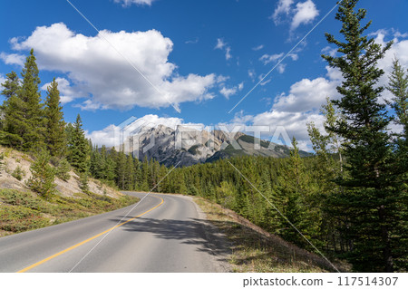 Mountain road in the forest in summer time. Lake Minnewanka scenic drive Loop. Banff National Park, Canadian Rockies, Alberta, Canada. Mountain road in the forest in summer time. Lake Minnewanka scenic drive Loop. Banff National Park, Canadian Rockies, Alberta, Canada. 117514307