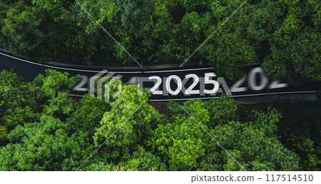 Newyear 2025 Aerial top view road in forest,and green transportation in the new year 117514510