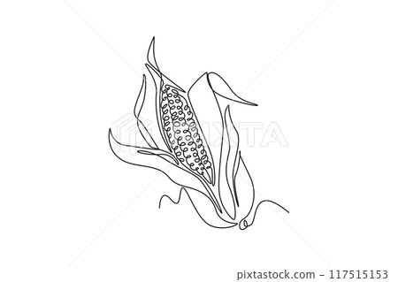 Continuous one line drawing whole peeled healthy organic corn crop for farm or field logo identity. Fresh maize concept for starchy vegetable icon. Single line draw design vector graphic illustration Continuous one line drawing whole peeled healthy organic corn crop for farm or field logo identity. Fresh maize concept for starchy vegetable icon. Single line draw design vector graphic illustration 117515153