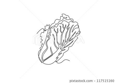 Single continuous line drawing of whole healthy organic headed cabbage for farm or field logo identity. Fresh biennial plant concept for vegetable icon one line draw graphic design vector illustration 117515160