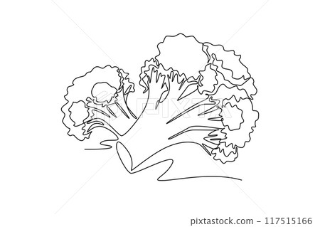Single one line drawing of whole healthy organic green broccoli for cooking logo identity. Fresh edible green plant concept for vegetable icon. Continuous line draw design graphic vector illustration Single one line drawing of whole healthy organic green broccoli for cooking logo identity. Fresh edible green plant concept for vegetable icon. Continuous line draw design graphic vector illustration 117515166